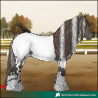 Horse Color:White Spotted Grullo Near Fewspot 