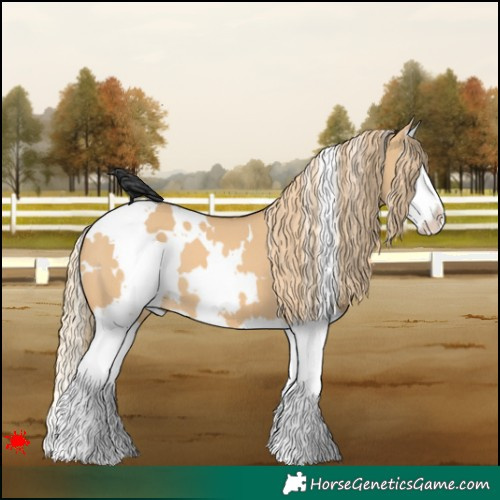Horse Color:White Spotted Red Dun Splash