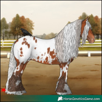Horse Color:White Spotted Silver Bay Near Leopard 