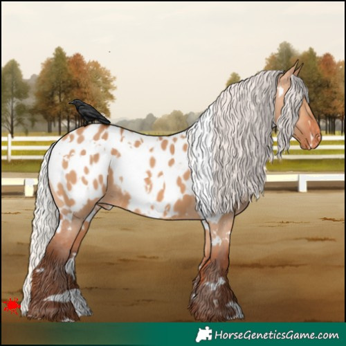 Horse Color:White Spotted Silver Bay Dun Blanket 