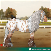 Horse Color:White Spotted Silver Bay Dun Blanket