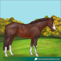 Horse Color:Chocolate Brown 