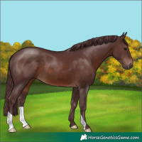 Horse Color:Chocolate Brown