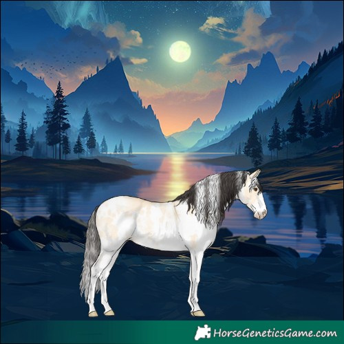 Horse Color:White Spotted Buckskin Dun Rabicano 