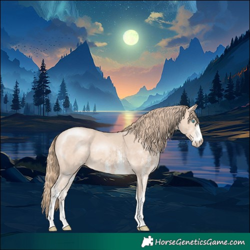 Horse Color:White Spotted Perlino