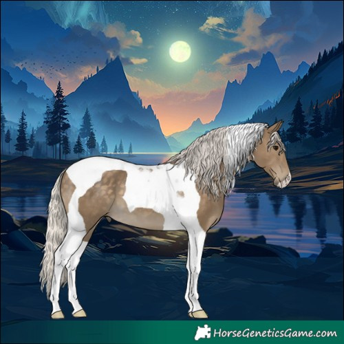 Horse Color:Silver Smoky Black Tobiano 