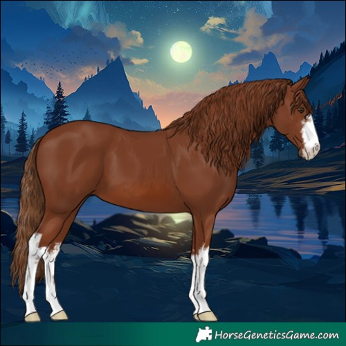 Horse Color:White Spotted Chestnut 