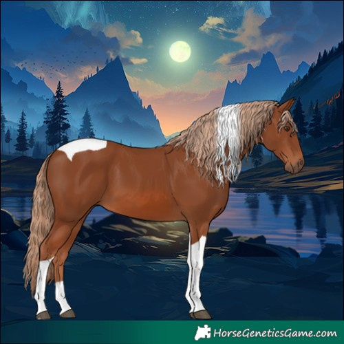 Horse Color:Chestnut Tobiano 