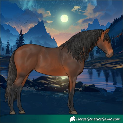 Horse Color:White Spotted Bay 