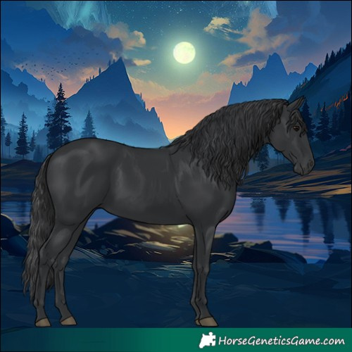 Horse Color:White Spotted Black