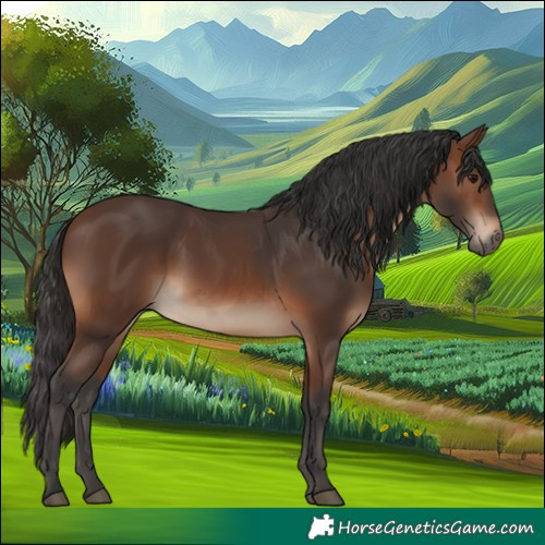 Horse Color:Brown 