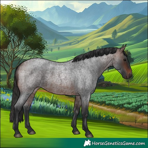 Horse Color:Brown Roan 