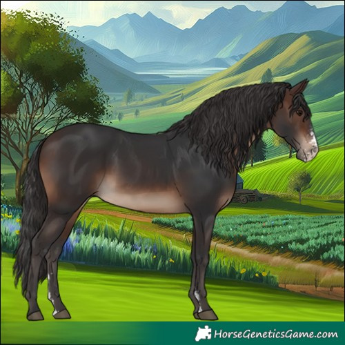 Horse Color:Brown Sabino 