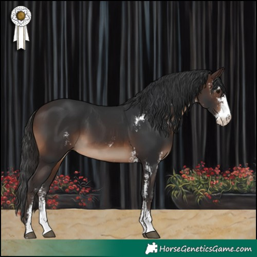 Horse Color:Brown Sabino 