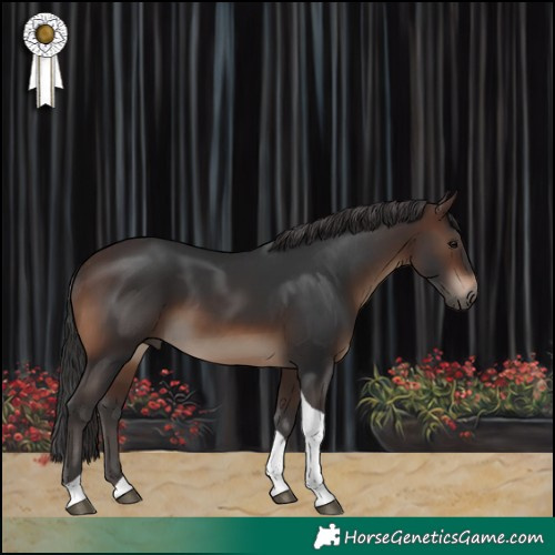 Horse Color:Brown Tobiano Rabicano