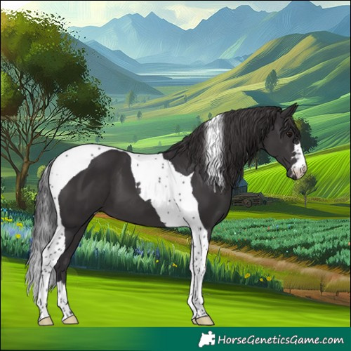 Horse Color:Smoky Black Tobiano 