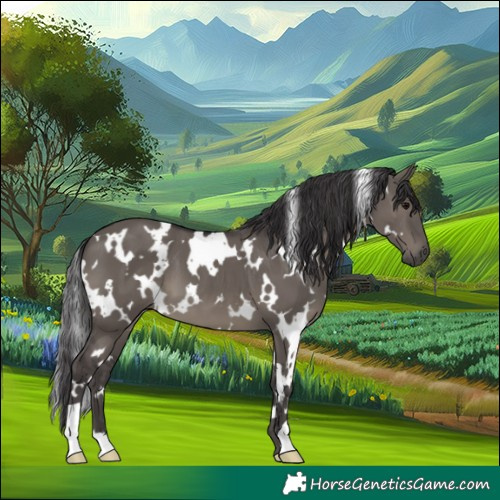 Horse Color:White Spotted Smoky Grullo