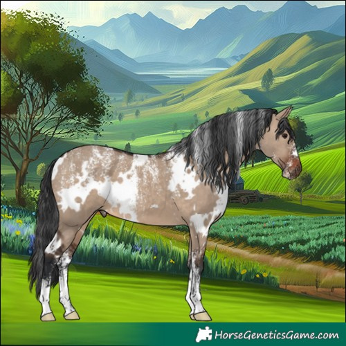 Horse Color:Powder White White Spotted Brown Dun 