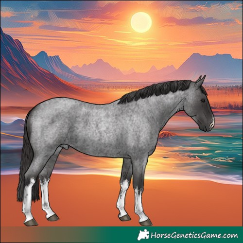 Horse Color:White Spotted Smoky Blue Roan 