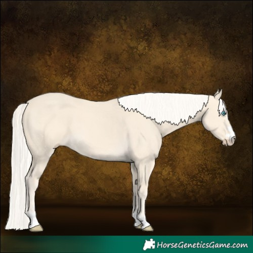 Horse Color:Cremello