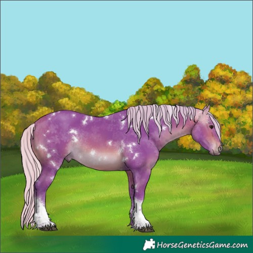 Horse Color:Watercolor White Spotted Silver Brown Tobiano Rabicano 