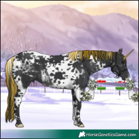 Horse Color:Painted Black Tobiano