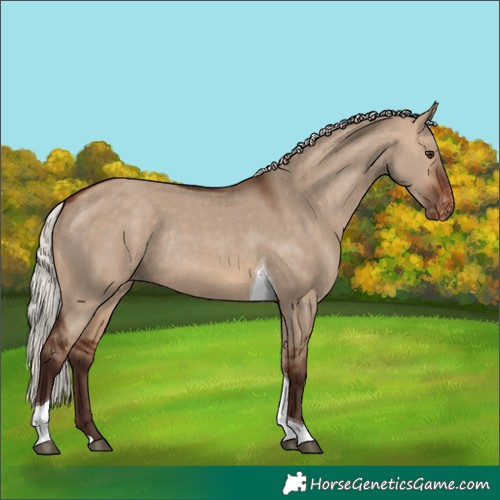 Horse Color:Silver Bay Dun Tobiano Varnish Rabicano
