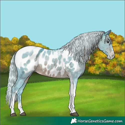 Horse Color:Watercolor Silver Brown Ice Tobiano Appaloosa Rabicano 