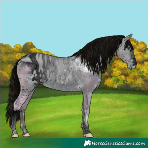 Horse Color:ERROR: UNKNOWN ANOMALY