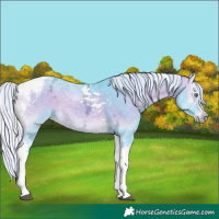 Horse Color:Watercolor Silver Buckskin Chinchilla Ice Onyx Tobiano