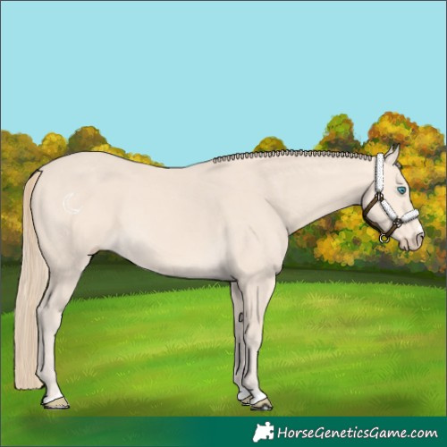 Horse Color:Perlino 