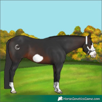 Horse Color:Brown Frame 