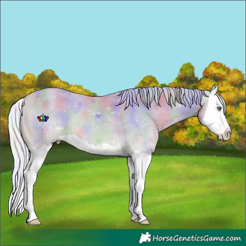 Horse Color:Nacre Watercolor Silver Bay Chinchilla Splash