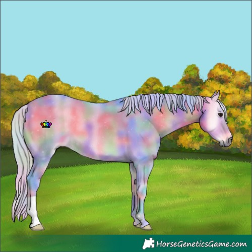 Horse Color:Nacre Watercolor Silver Buckskin Onyx