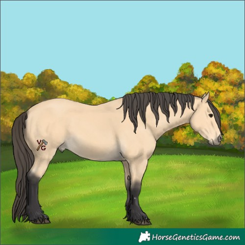 Horse Color:Unknown