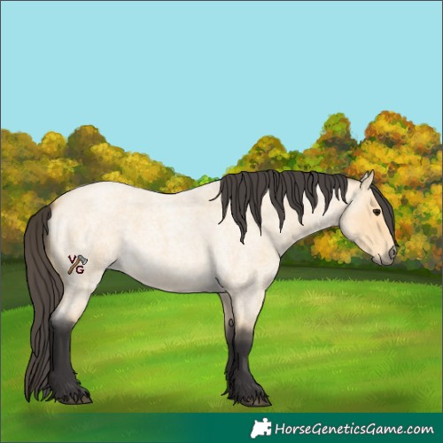 Horse Color:Unknown 