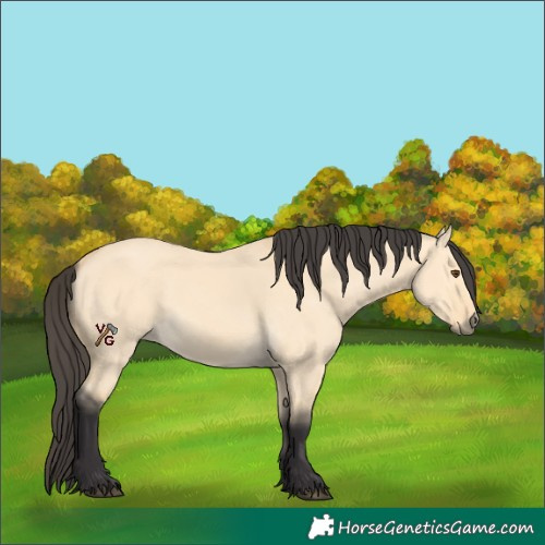 Horse Color:Unknown 