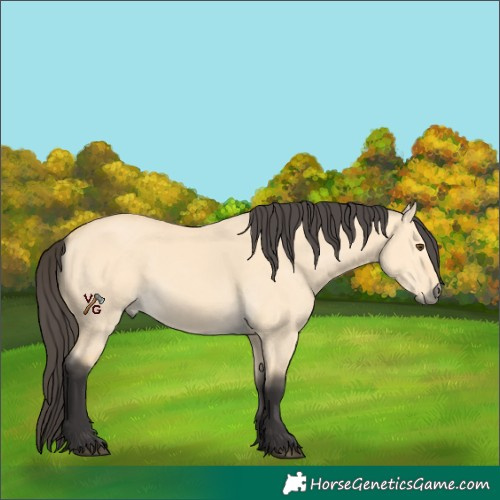 Horse Color:Unknown 