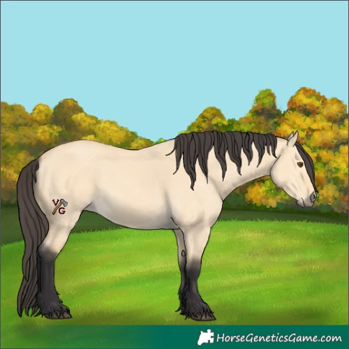 Horse Color:Unknown 