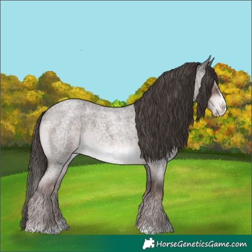 Horse Color:Platinum White Spotted Liver Red Roan Splash 