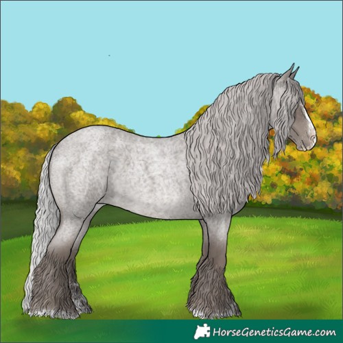 Horse Color:Platinum Silver Blue Roan Splash 