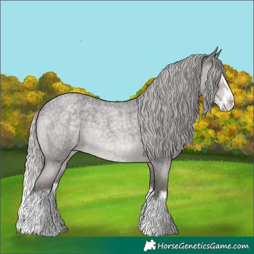 Horse Color:Platinum Silver Smoky Blue Roan Splash 