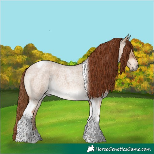 Horse Color:Red Dun Roan Tobiano