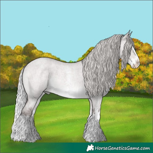Horse Color:Platinum Silver Brown Roan Dun Sabino Splash