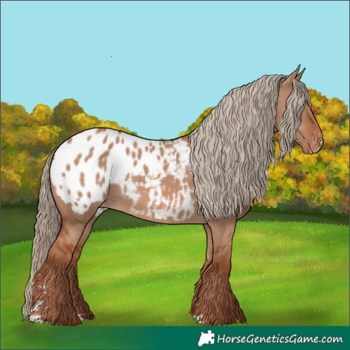 Horse Color:Red Dun Blanket