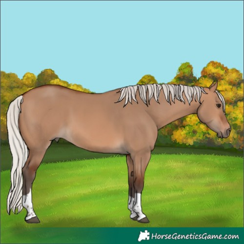 Horse Color:Silver Brown Dun Tobiano