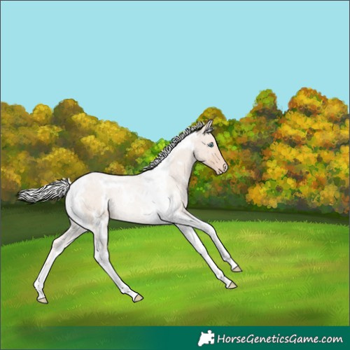 Horse Color:White Spotted Silver Smoky Creme Tobiano 