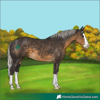 Horse Color:Silver Smoky Black Splash 