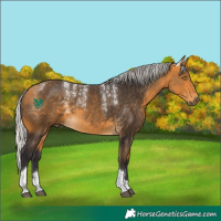 Horse Color:Powder White Silver Buckskin Tobiano