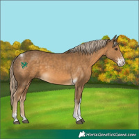 Horse Color:Chocolate Palomino Sabino Tobiano